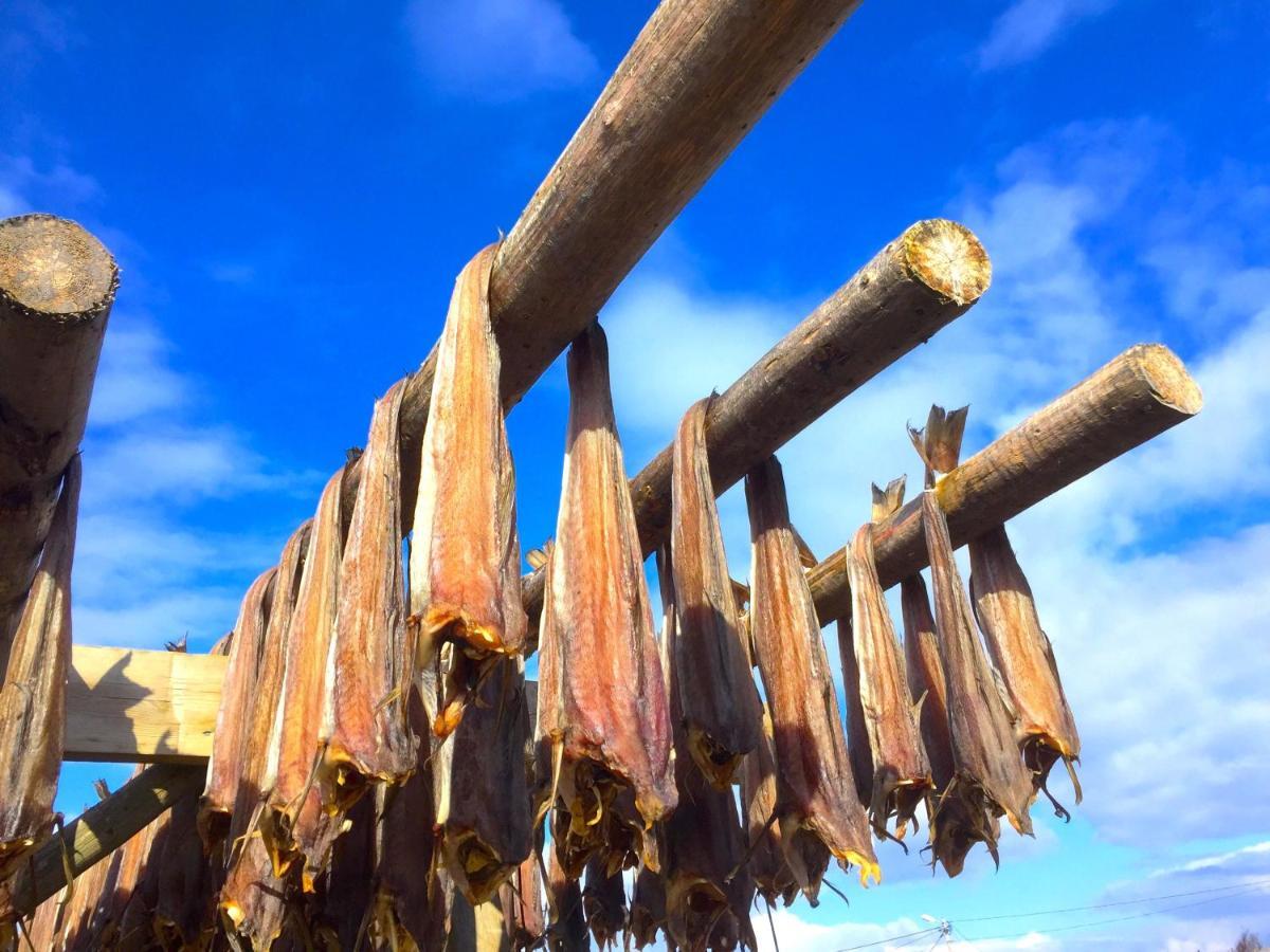Eggum Fishermans Cabin Bostad Ngoại thất bức ảnh